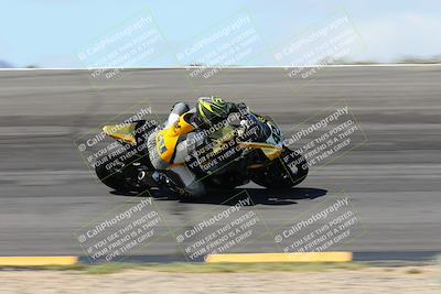 media/Apr-05-2024-Apex Assassins-CVMA Friday Practice (Fri) [[ee2ef04f2b]]/3-Racer 2/Session 3 (Bowl Speed Pans)/